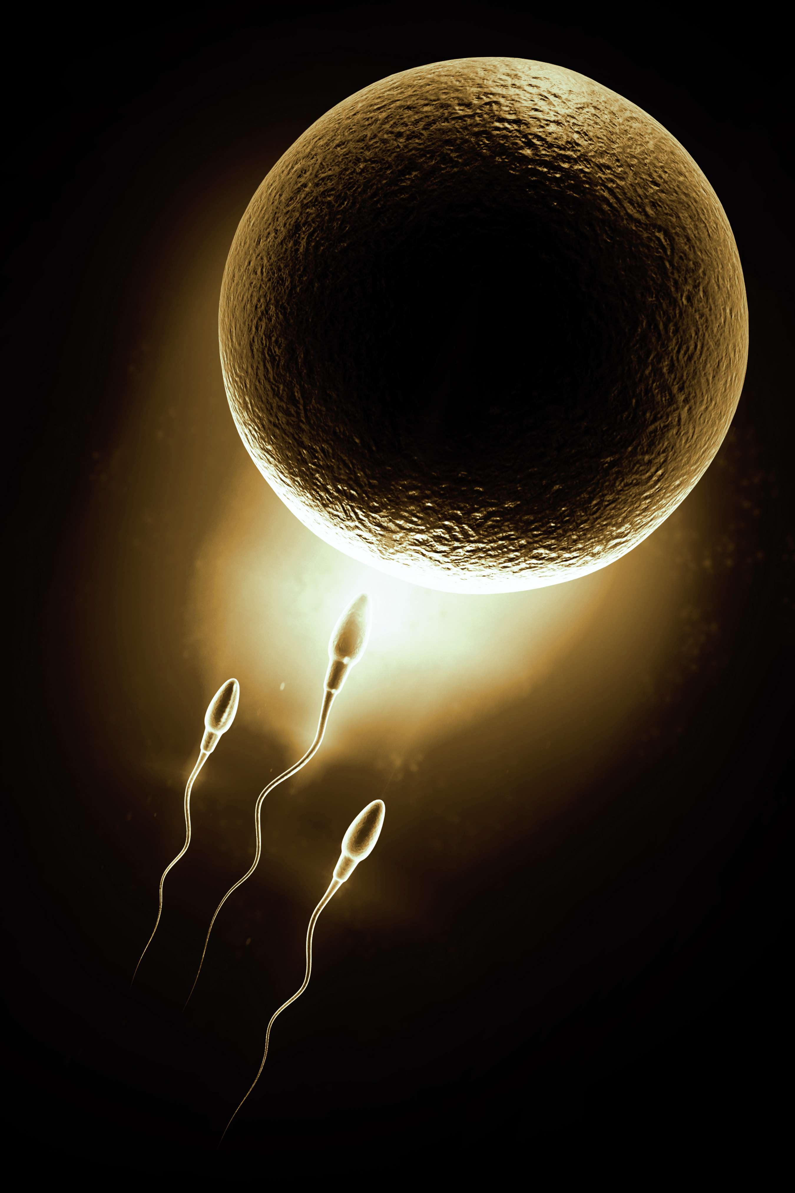 Understanding Infertility